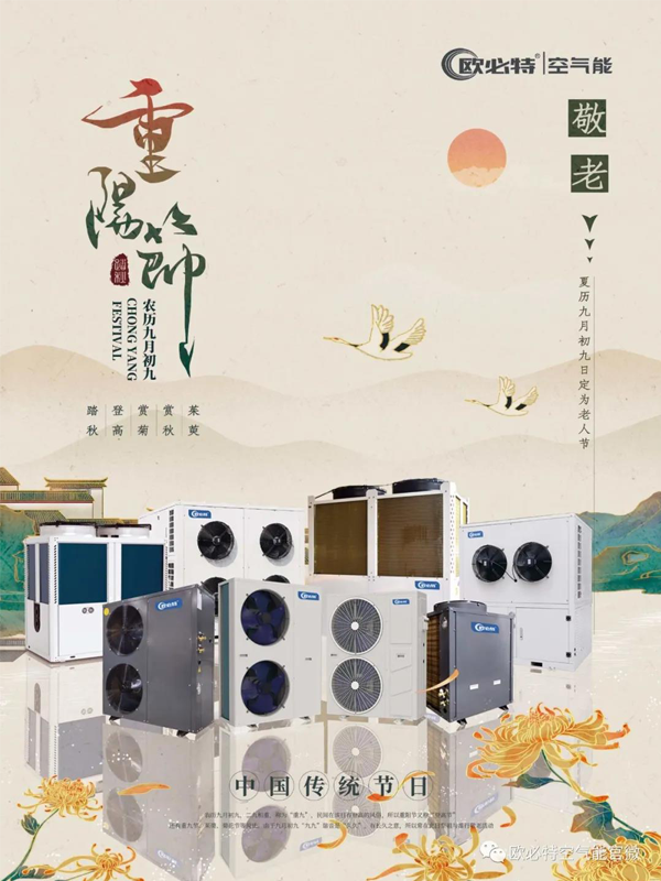 重陽 | 賞菊登高覓秋色，感恩敬老傳孝道